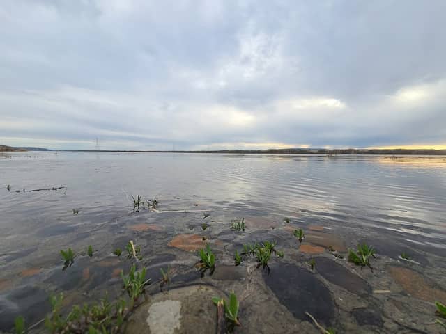 Ringold Point - Image 1