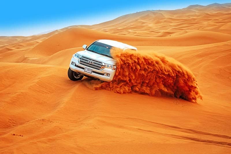 DESERT EAGLE TOURISM LLC - Image 1