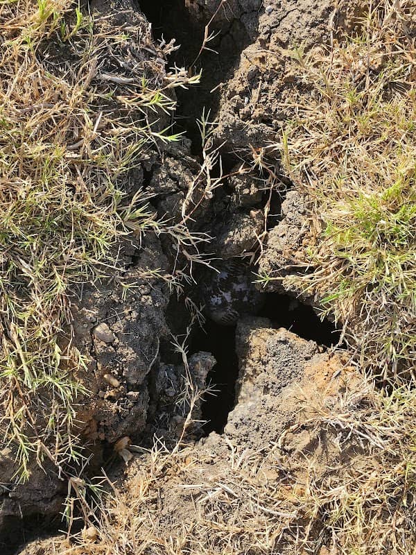 Sonoma Verde Park - Image 1