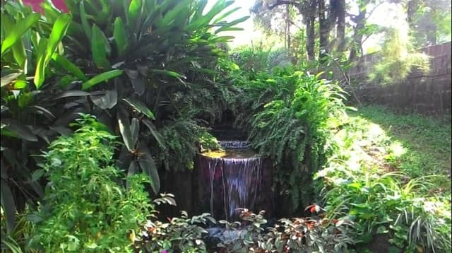 Magic Garden - Image 1