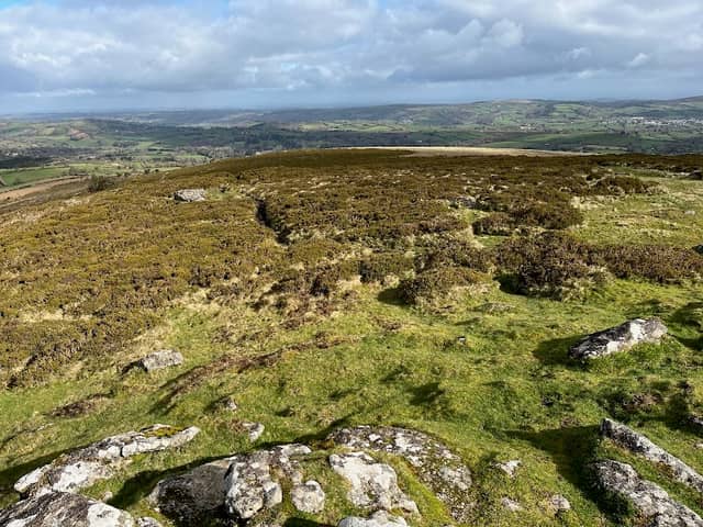 Easdon Tor - Image 1