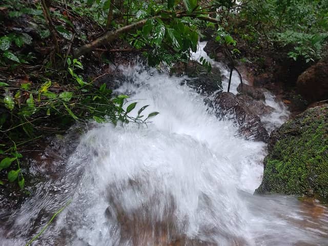 Vadakkanchery vallachatam - Image 1