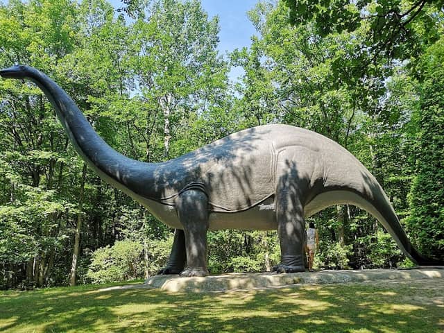 Prehistoric World - Image 2