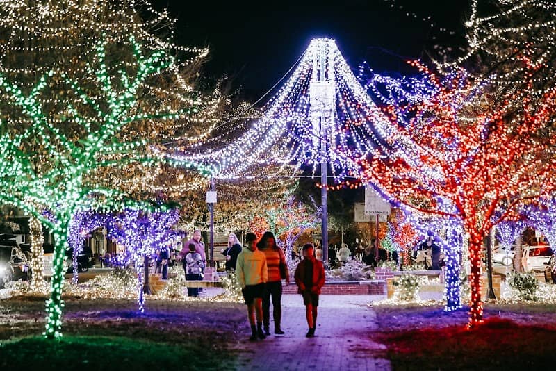 Macon Christmas Light Extravaganza - Image 1