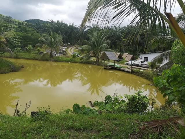 M&M Green EcoFarm - Image 1