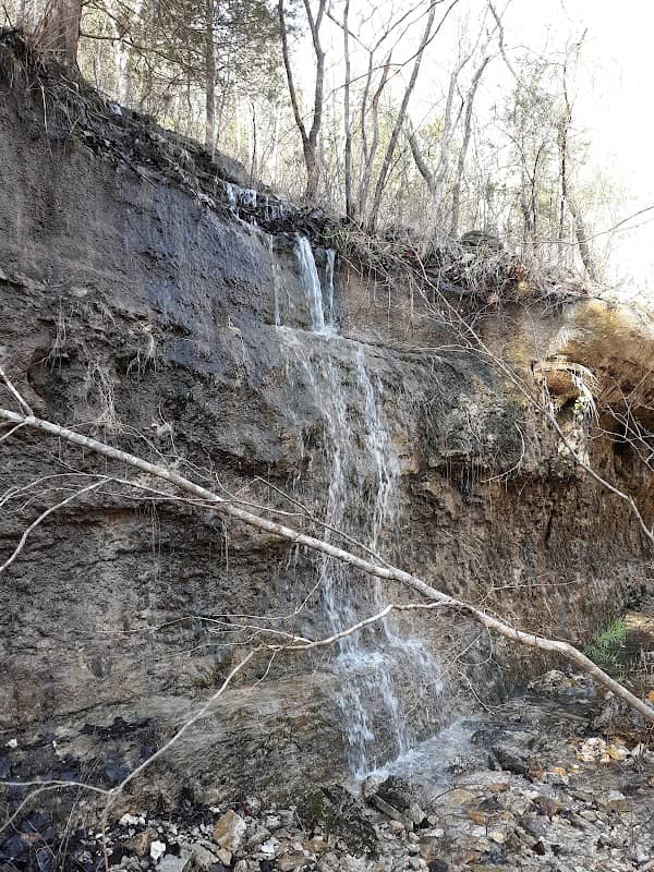 Devils Backbone Wilderness - Image 2