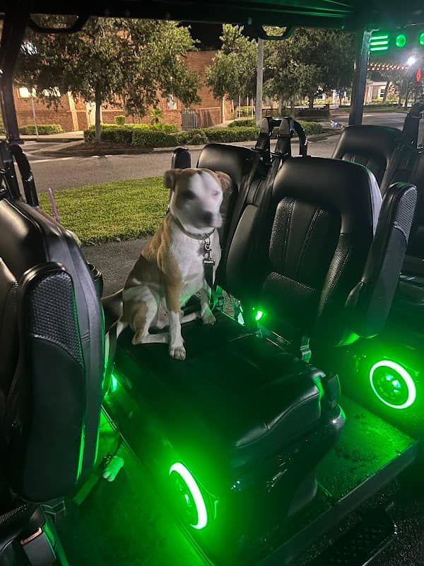 Bokey Ride Lime - Image 3