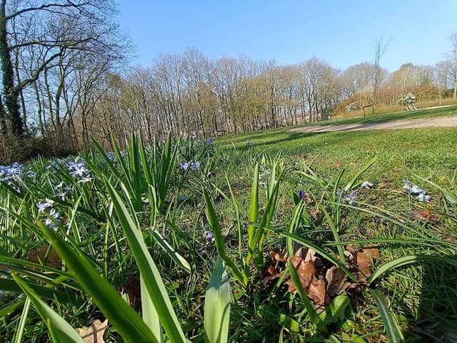 Park Bloemendaal - Image 1
