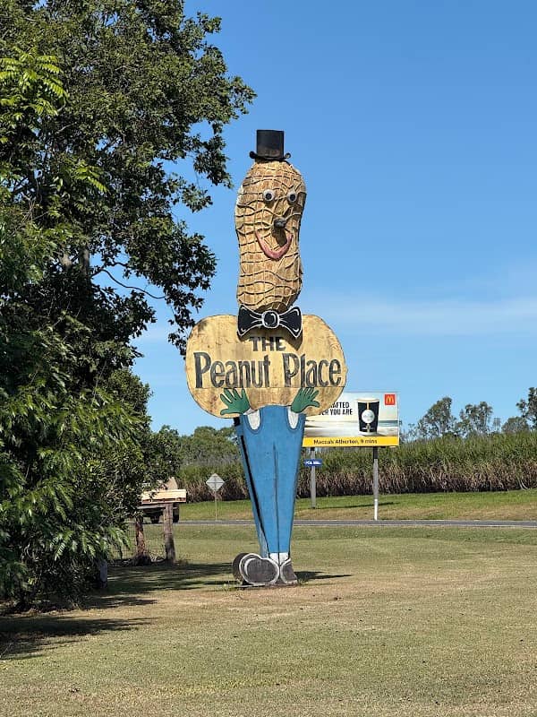 The Big Peanut Man - Image 1