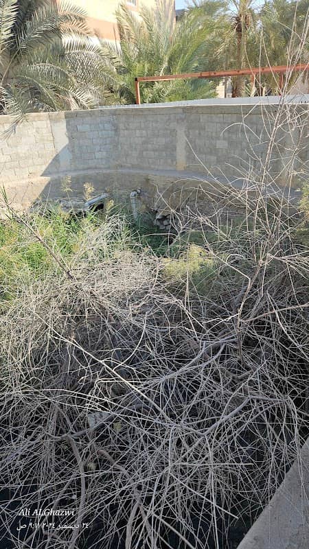 عين ساداس - Image 2