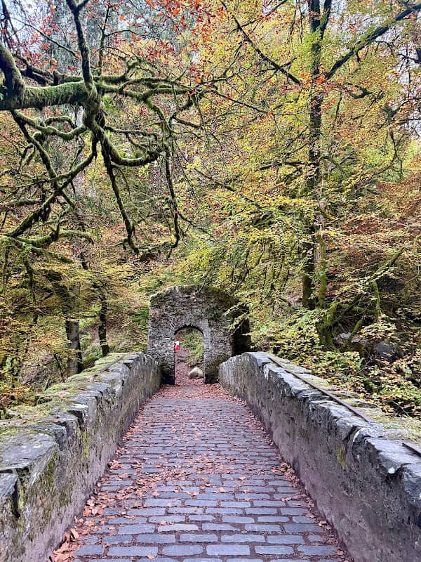 Hermitage Bridge - Image 3