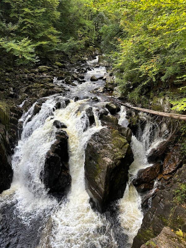 Hermitage Bridge - Image 1