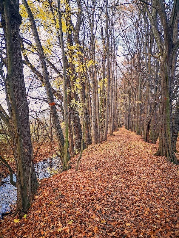 Region Poodří - Image 1