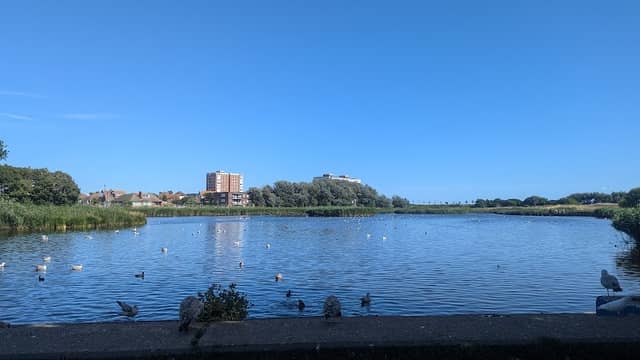 Brooklands Park and Lake - Image 1