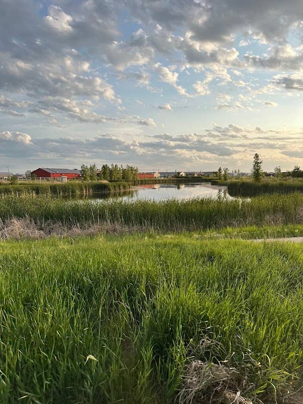 Discovery Nature Sanctuary - Image 2
