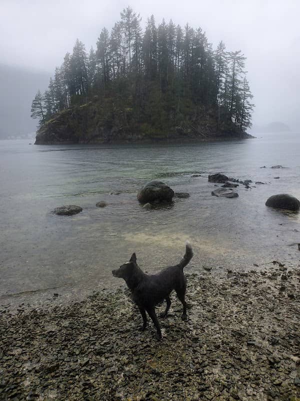 Jug Island Beach - Image 2