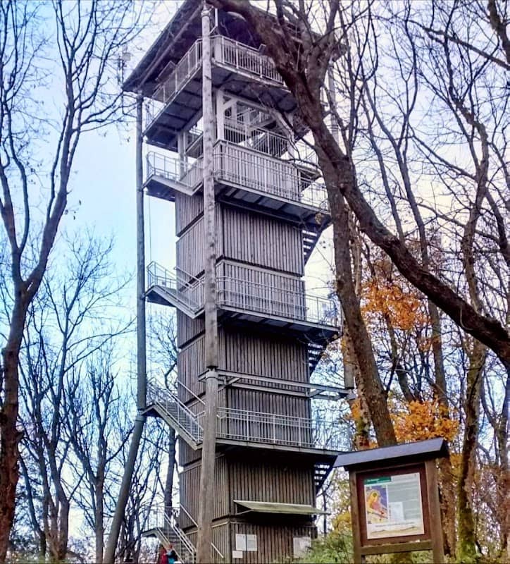 Gänseplatz Soisdorf - Image 1
