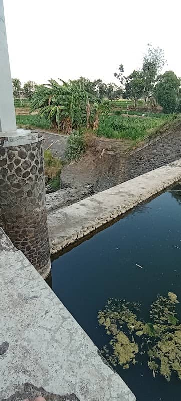 DAM - Image 2