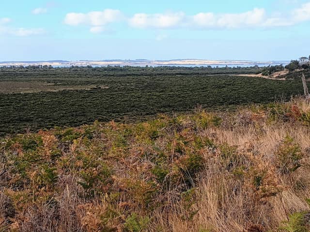 Conservation Hill Lookout - Image 1