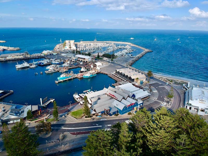 Tourist Wheel Fremantle - Image 2