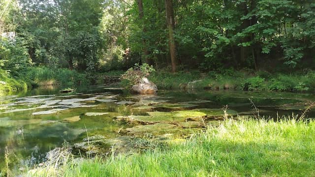 Stagno di Sondalo - Image 2