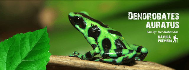 Natura Eco Park - Costa Rica - Image 1