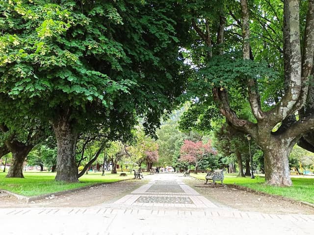 Plaza de Armas de Villarrica - Image 1