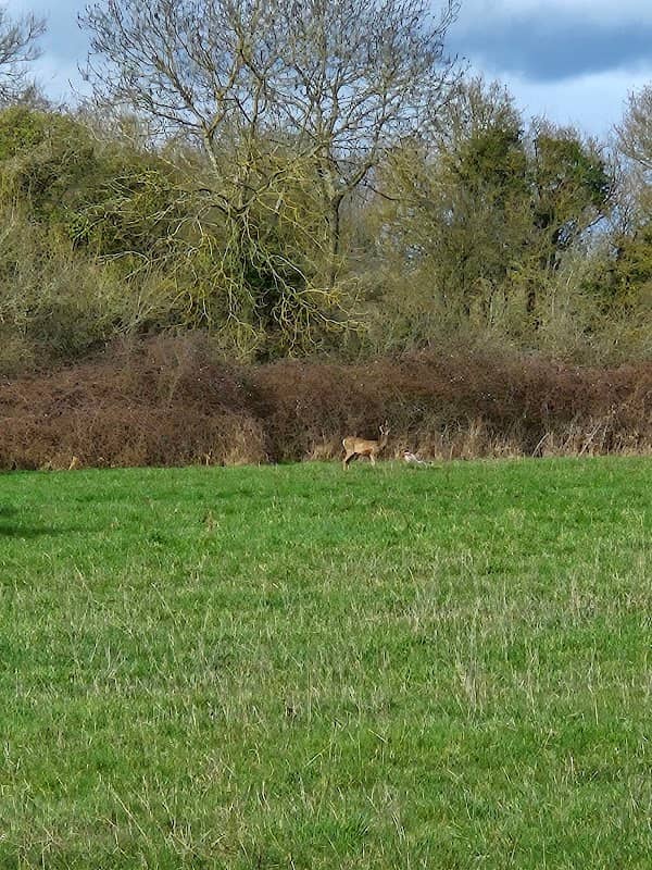 New Marston Meadows - Image 1