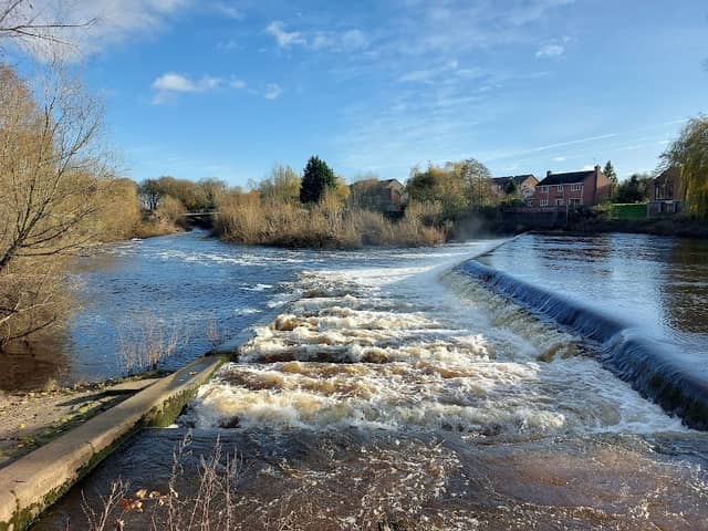 Salmon Ladder & Weir - Image 1