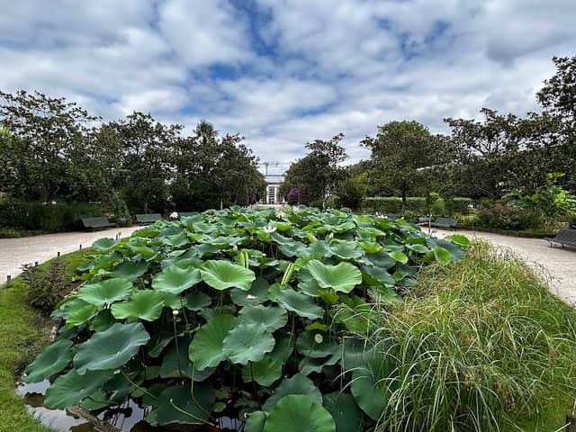Jardin botanique de Tours - Image 2