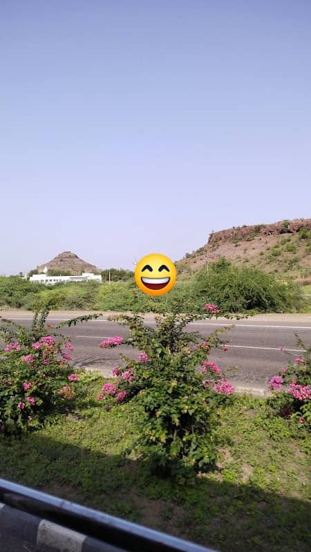 Gulfnature - Image 1