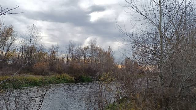 Starr Park - Image 1
