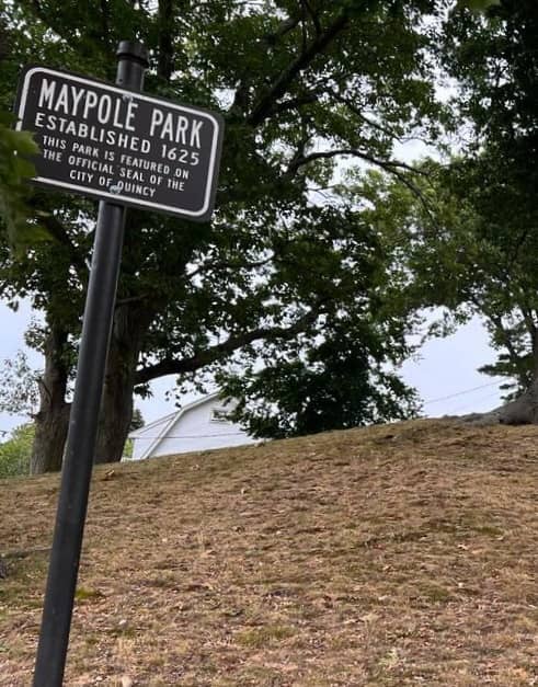 Maypole Park - Image 2