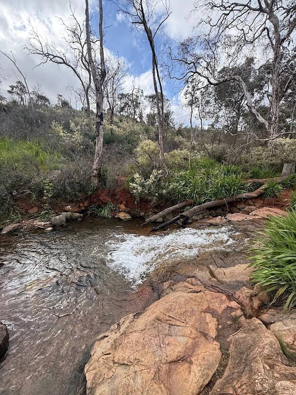 Whistlepipe Gully - waterfalls - Image 1
