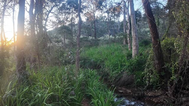 Whistlepipe Gully - waterfalls - Image 2