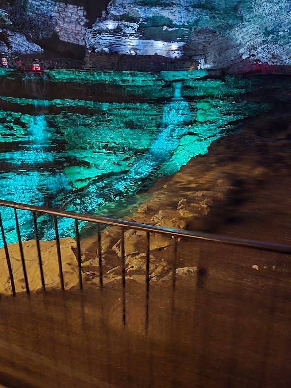 Nature at Night - Image 3