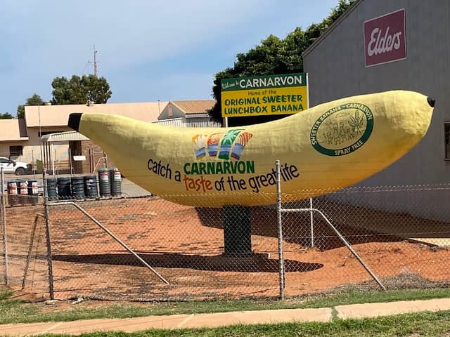 Carnarvon Big Banana - Image 1