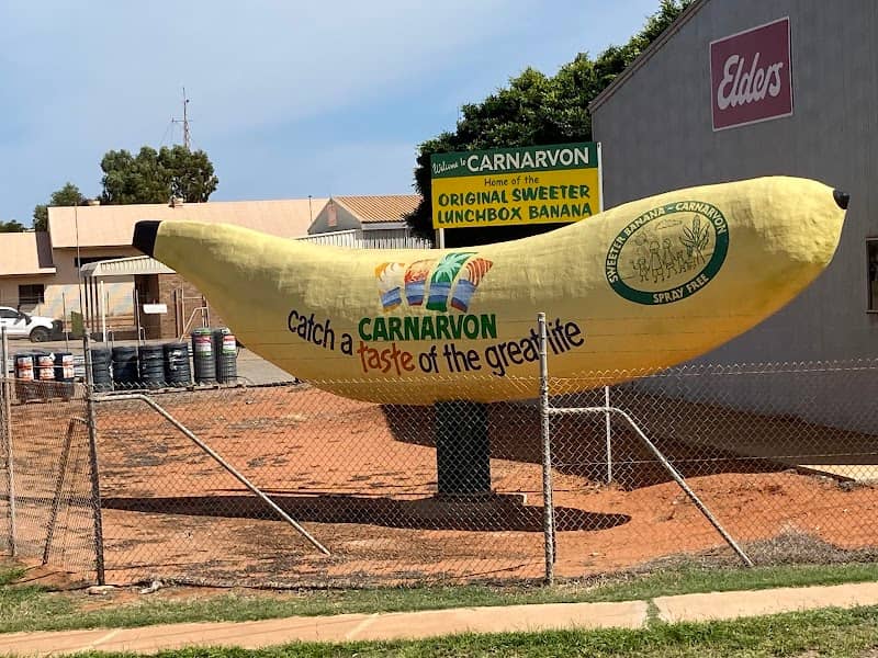 Carnarvon Big Banana - Image 1