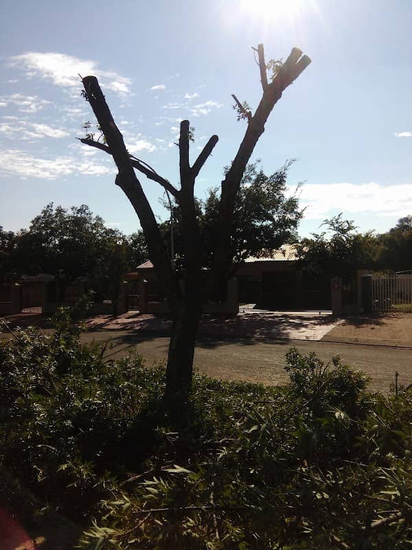 Crawford Park - Image 1