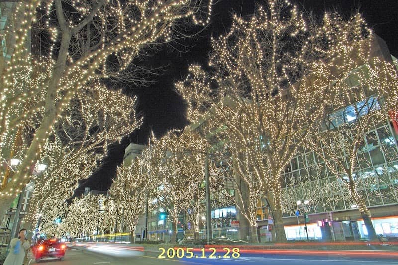 Beautiful zelkova trees in fresh green (Aoba-dori Ave) - Image 2