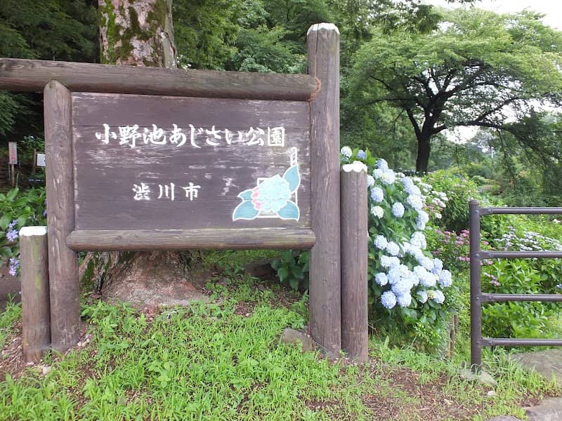 Onoike Ajisai Park - Image 3