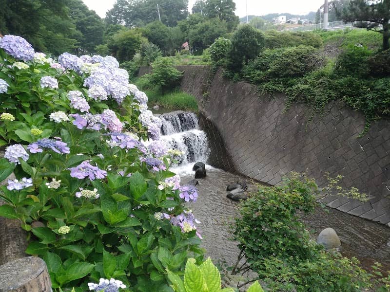 Onoike Ajisai Park - Image 1