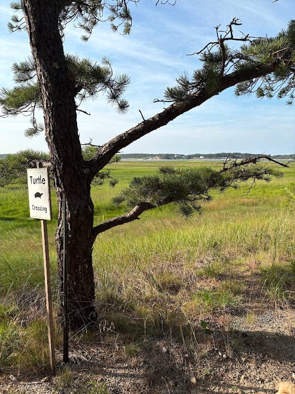 Fox Island Wildlife Management Area - Image 2