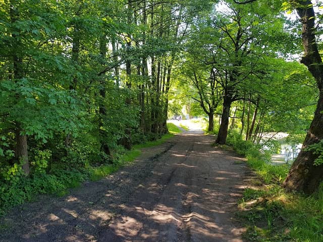 Park Yuzhnyy - Image 1