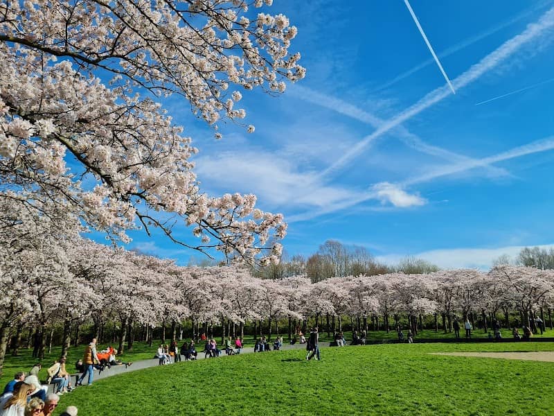 Bloesempark - Image 2