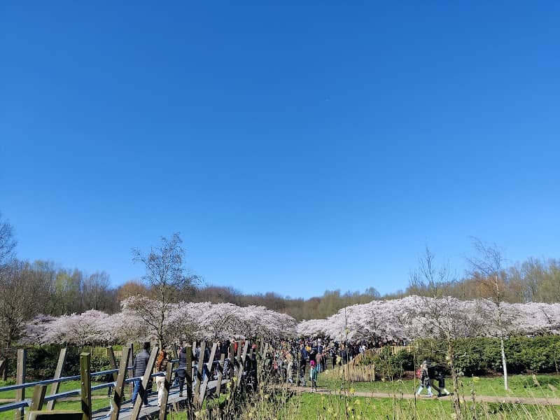 Bloesempark - Image 1