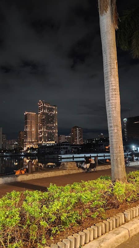 View Over Manila Bay - Image 3