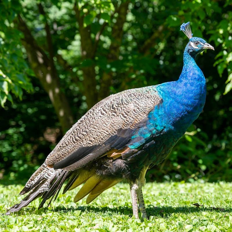 Staten Island Zoo - Image 1