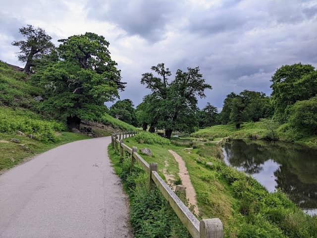 Little Matlock Gorge - Image 2