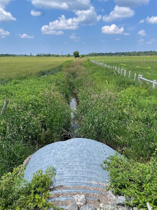 Grand River Source - Image 2